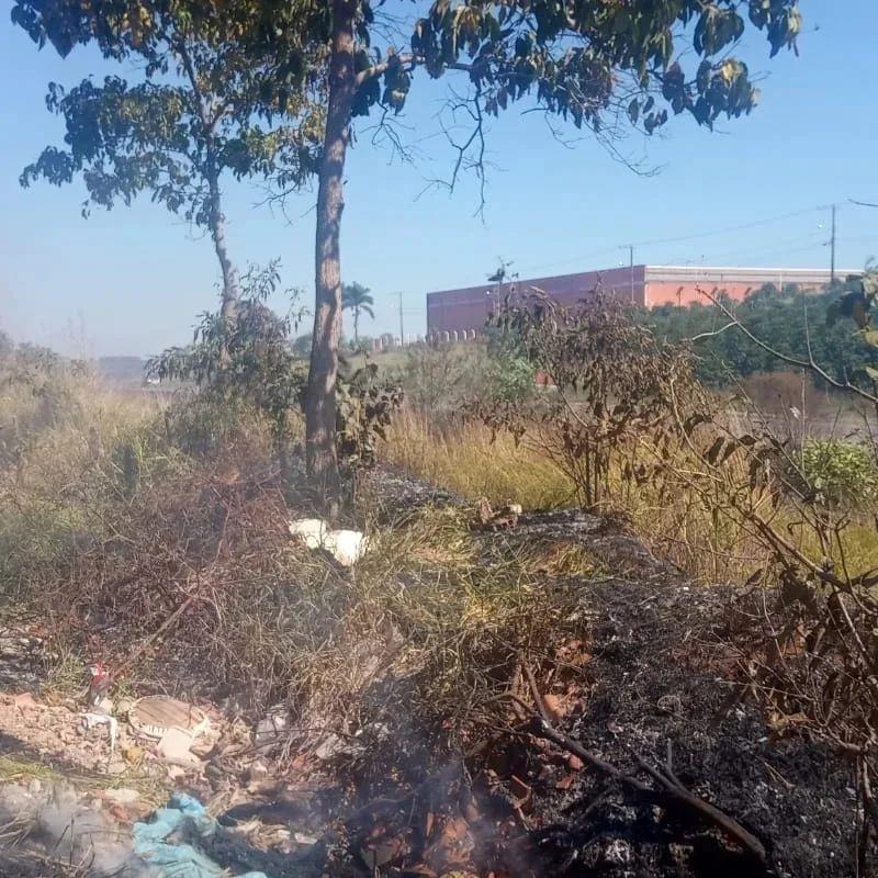 Bombeiros combatem incêndio às margens da rodovida BR-491, em Guaxupé