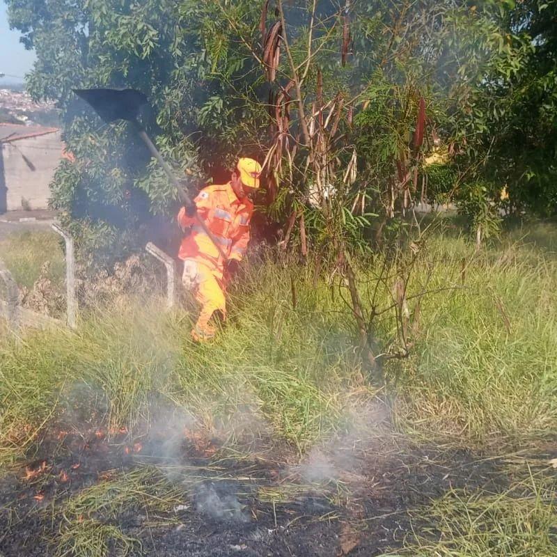 Bombeiros combatem incêndio às margens da rodovida BR-491, em Guaxupé