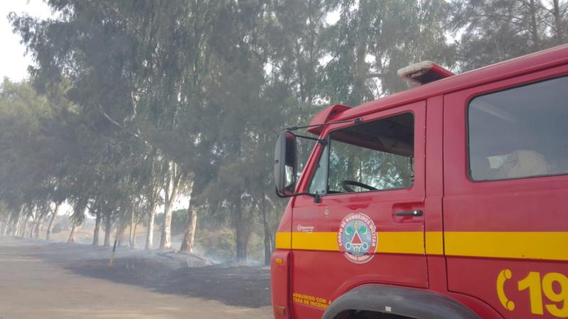 Bombeiros atendem 28 ocorrências de incêndio em vegetação no período de uma semana