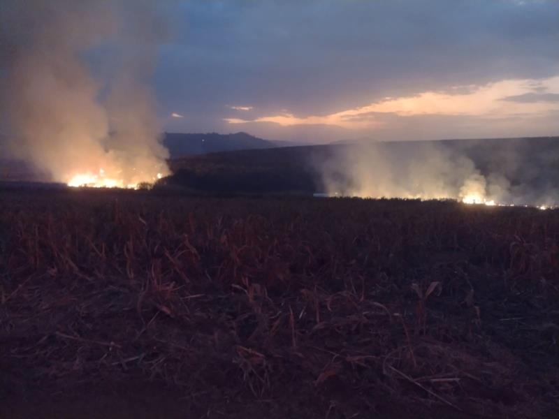 Incêndio próximo à Guaranésia mobiliza Bombeiros e Defesa Civil  