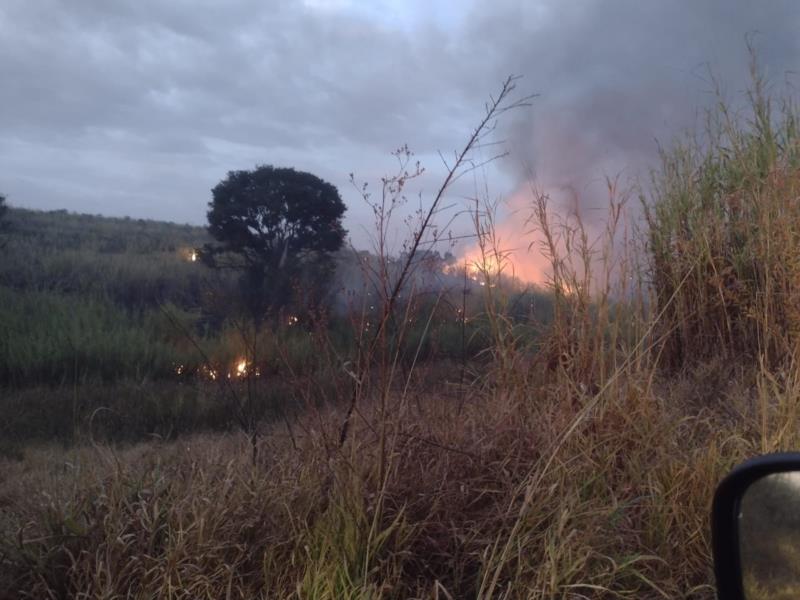 Incêndio próximo à Guaranésia mobiliza Bombeiros e Defesa Civil  