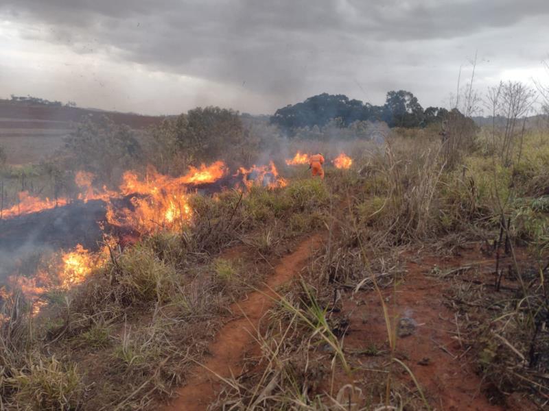 Incêndio próximo à Guaranésia mobiliza Bombeiros e Defesa Civil  