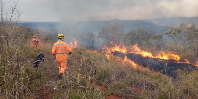 Incêndio próximo à Guaranésia mobiliza Bombeiros e Defesa Civil  