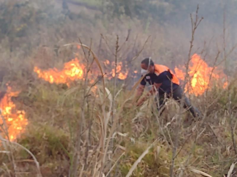 Incêndio próximo à Guaranésia mobiliza Bombeiros e Defesa Civil  