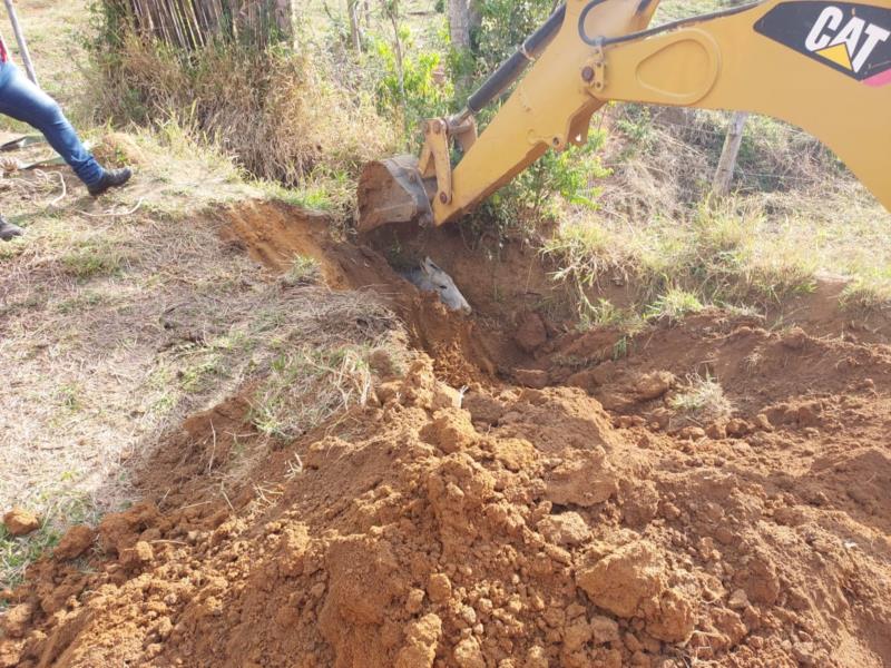 Bombeiros resgatam equino que caiu em vala na zona rural de Muzambinho 