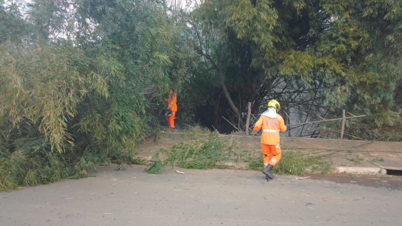 Bombeiros gastam cerca de três horas e três mil litros de água para combater incêndio em bambuzais 