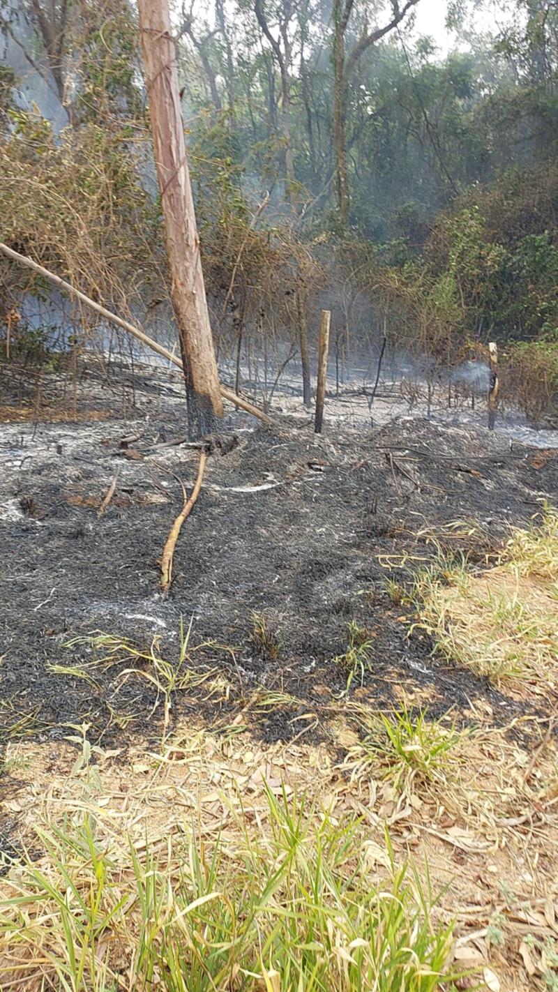 Bombeiros, Defesa Civil e sitiantes locais combatem incêndio na fazenda Varjão, em Guaranésia 