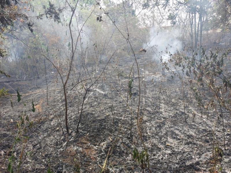 Bombeiros, Defesa Civil e sitiantes locais combatem incêndio na fazenda Varjão, em Guaranésia 