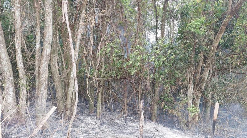 Bombeiros, Defesa Civil e sitiantes locais combatem incêndio na fazenda Varjão, em Guaranésia 