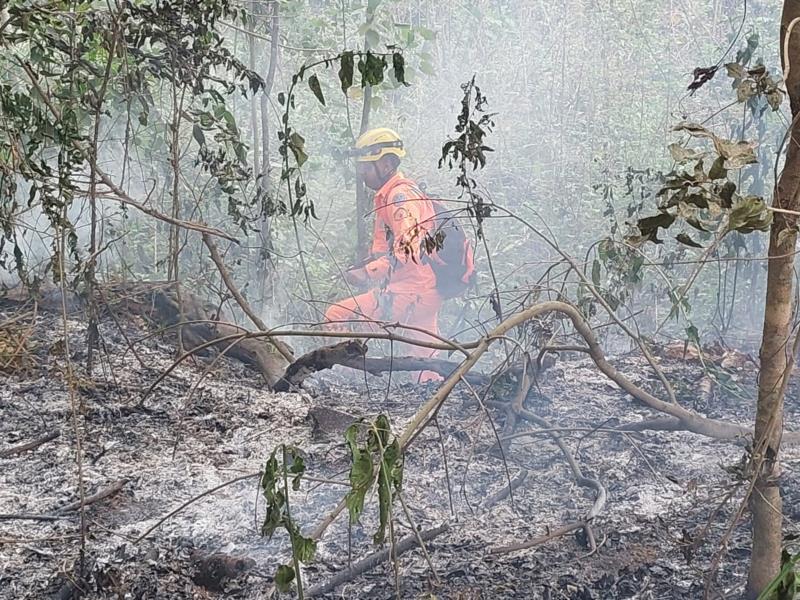 Bombeiros, Defesa Civil e sitiantes locais combatem incêndio na fazenda Varjão, em Guaranésia 