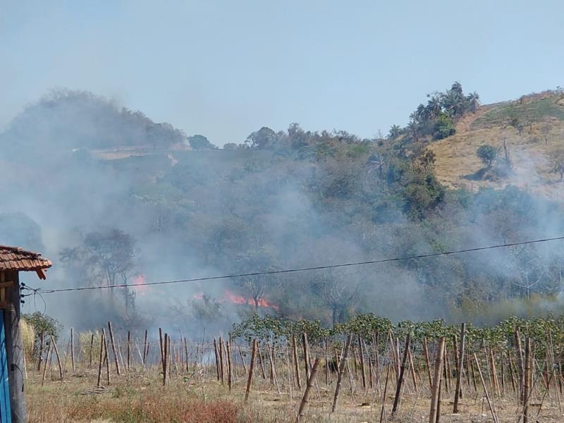 Em Guaranésia, proprietário ateia fogo em chácara e recebe voz de prisão dos bombeiros 