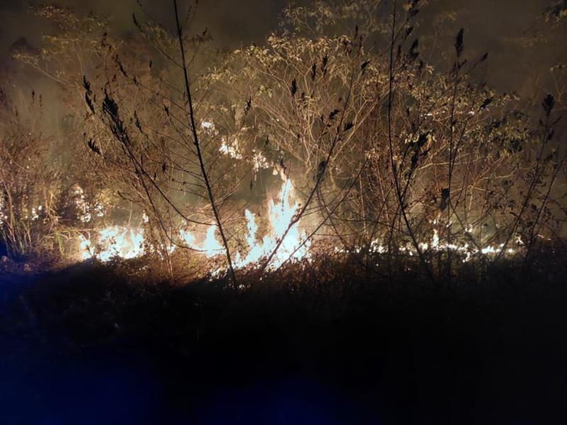 Dois incêndios de grandes proporções destruíram quase 80 hectares de vegetação em Guaxupé e São Pedro da União 