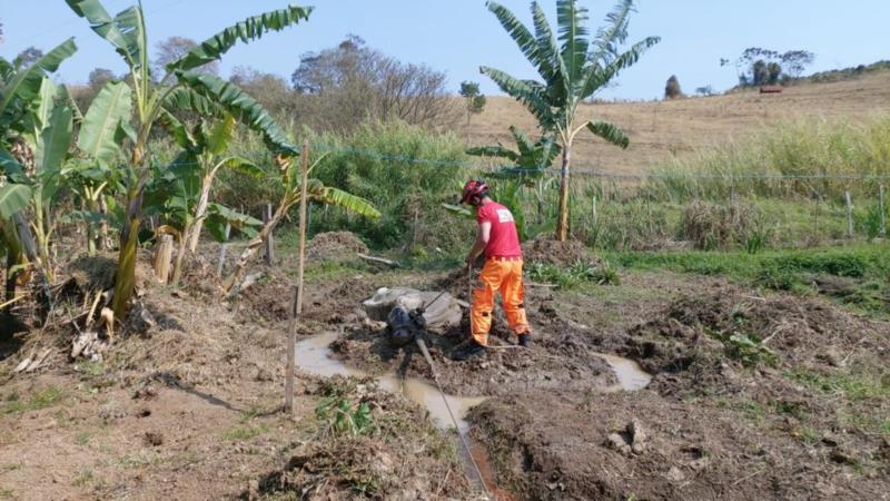 Bombeiros resgatam vaca atolada em lamaçal 