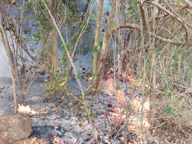 Incêndio queima 17 hectares de vegetação em Nova Resende 