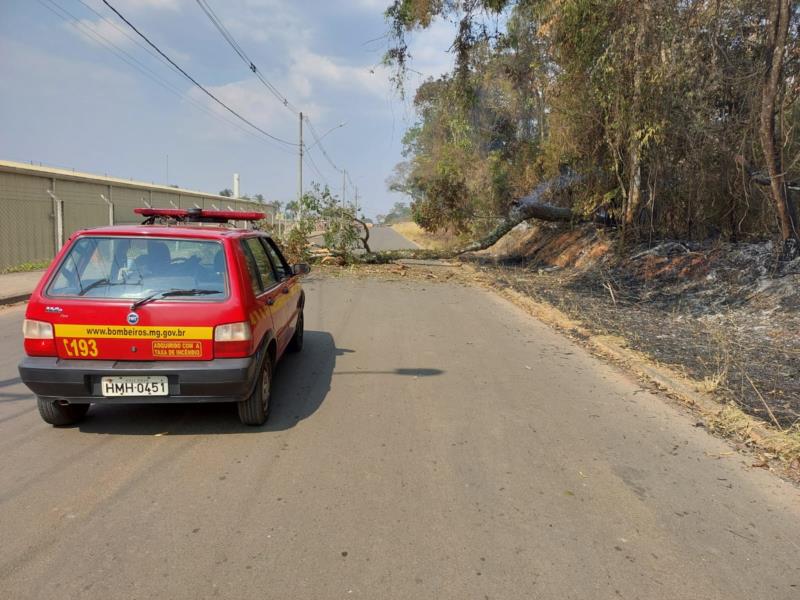 Incêndio queima 17 hectares de vegetação em Nova Resende 