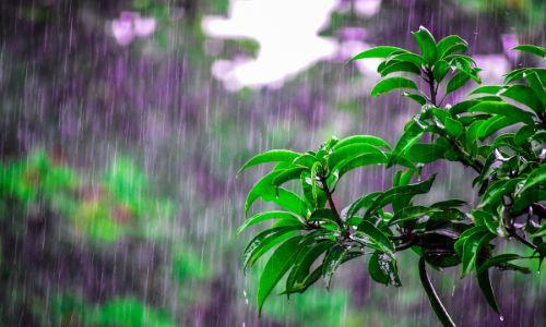 Primavera chega com frio, risco de geada e pancadas de chuva