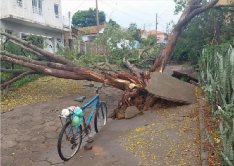 Em Monte Santo de Minas, chuva provoca estragos em vários locais da cidade 