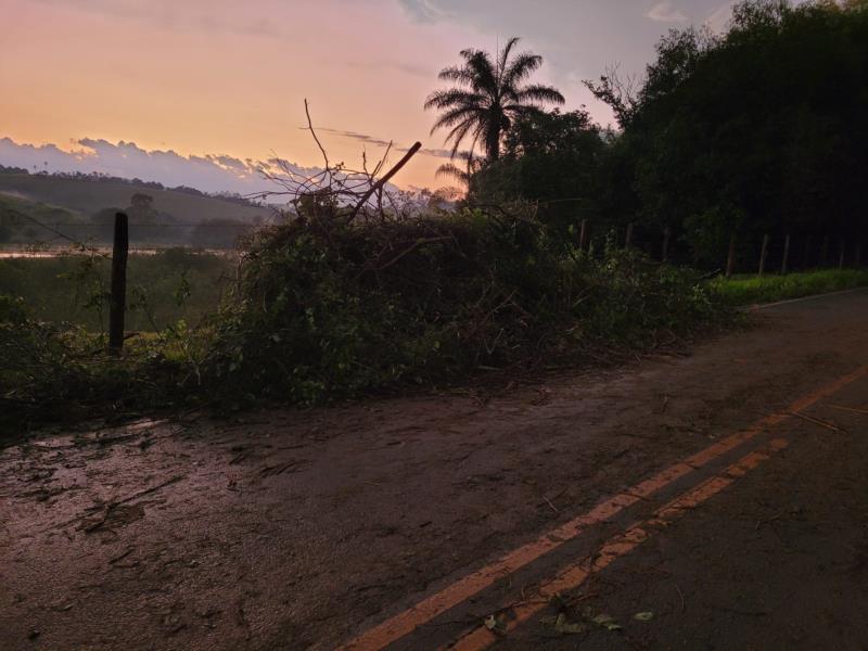 Chuva provoca queda de árvores em Muzambinho 