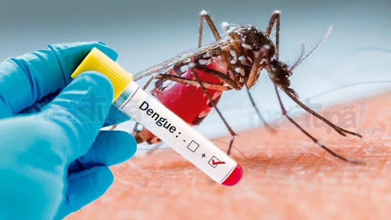 Em Boletim Informativo, Guaxupé registra mais de 500 casos positivos de Dengue 