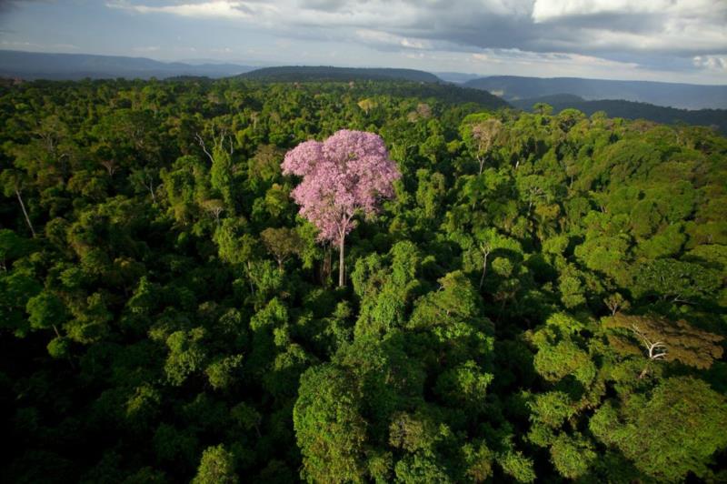 VALE PRESERVA A NATUREZA E APOIA A CULTURA