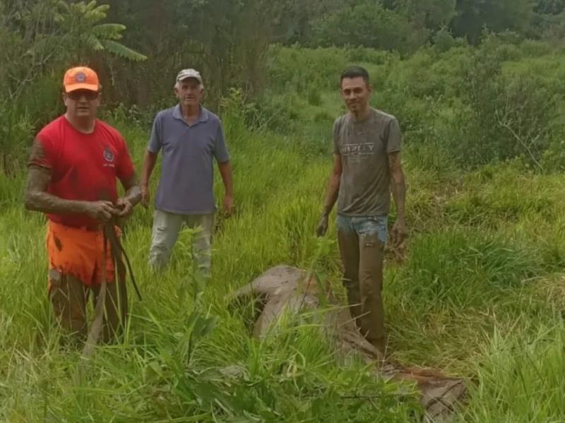 Mais uma égua atolada em lamaçal foi resgatada pelos bombeiros em Guaxupé 