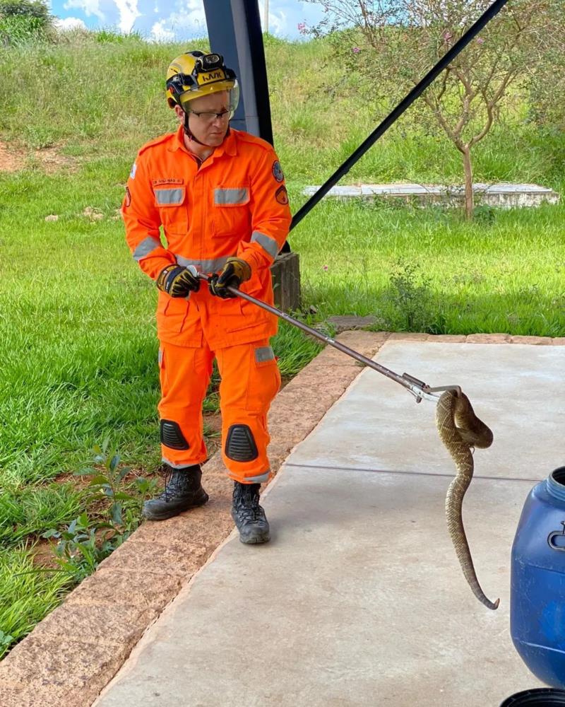 Em Guaxupé, cascavel é capturada dentro de empresa no bairro Japy 