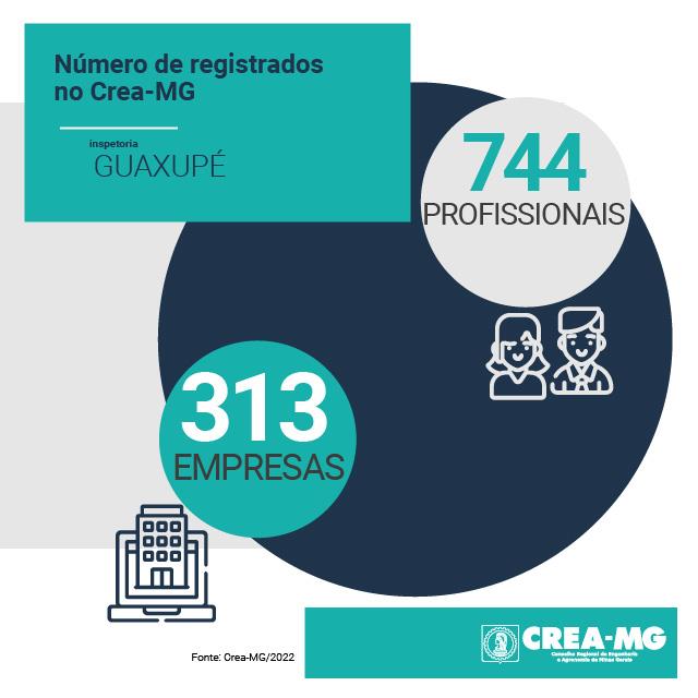 Crea-MG identificou 210 irregularidades em Guaxupé no ano de 2022