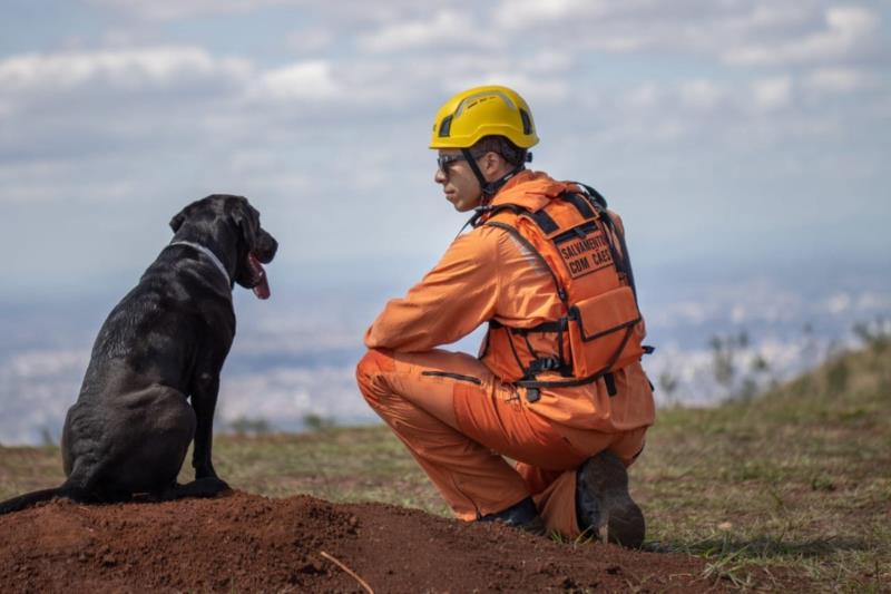 Cães dos bombeiros agilizam resgate e salvamento de vidas em Minas e em outros estados