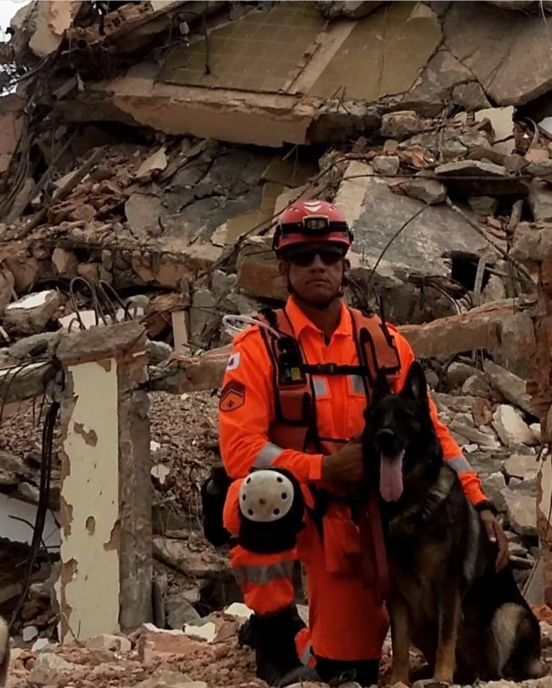 Cães dos bombeiros agilizam resgate e salvamento de vidas em Minas e em outros estados