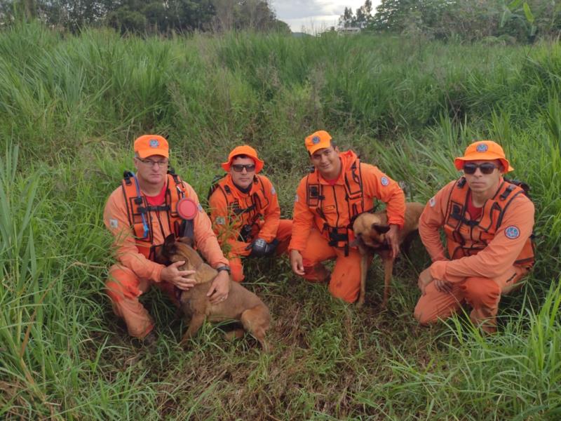 Cães dos bombeiros agilizam resgate e salvamento de vidas em Minas e em outros estados