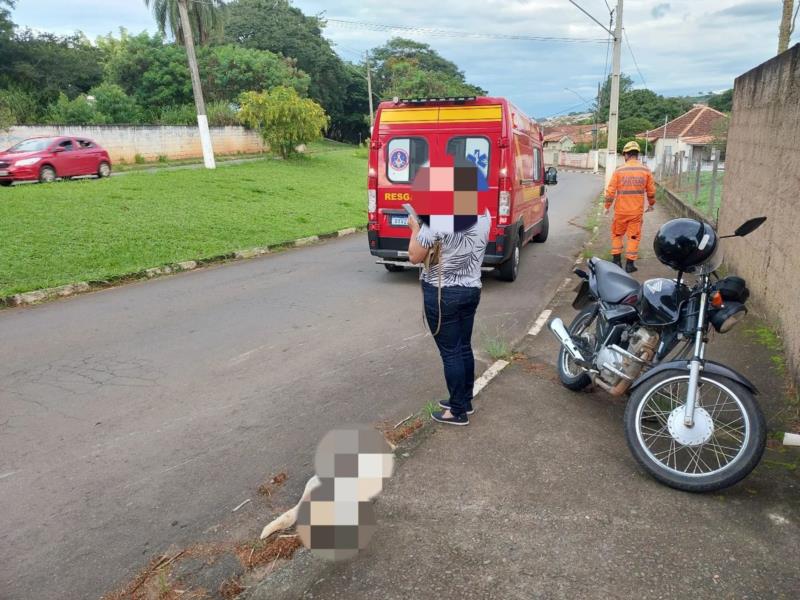 Em Guaxupé, condutora de 37 anos fica ferida ao cair da motocicleta após atropelar cachorro 