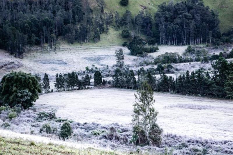 Meteorologia indica geadas no Sul de Minas para esta semana 