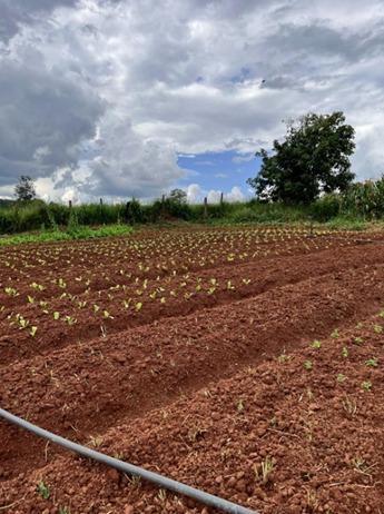 Profissionais da Secretaria de Educação de Guaxupé visitam agricultores familiares 