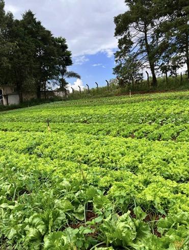 Profissionais da Secretaria de Educação de Guaxupé visitam agricultores familiares 