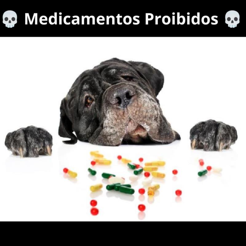 MEDICAMENTOS PROIBIDOS PARA CÃES E GATOS