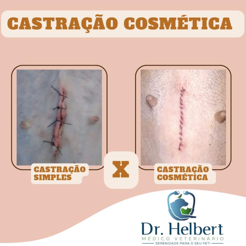 CASTRAÇÃO COSMÉTICA - CONHEÇA OS BENEFÍCIOS