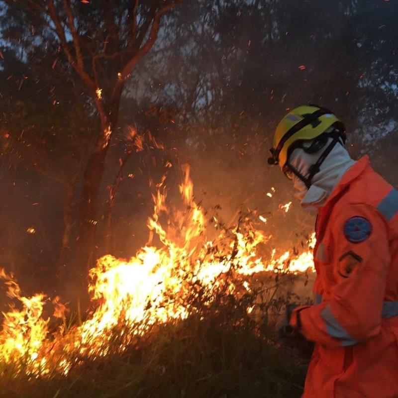 Bombeiros alertam: as pessoas estão deixando rastros de destruição