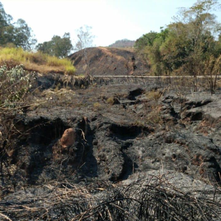 Bombeiros alertam: as pessoas estão deixando rastros de destruição