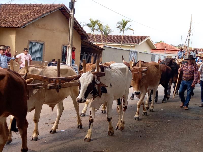 Encontro de Carreiros e Queima do Alho em Santa Cruz da Prata recebem shows regionais