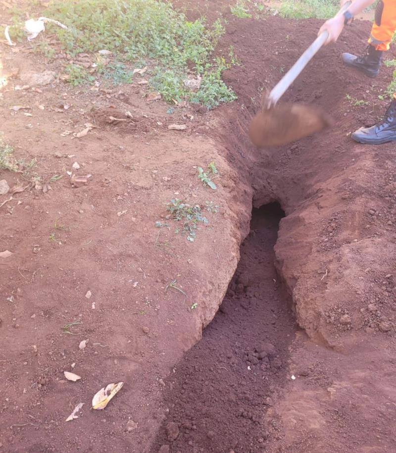 Em Guaxupé, Bombeiros resgatam gatinho preso em buraco de difícil acesso 