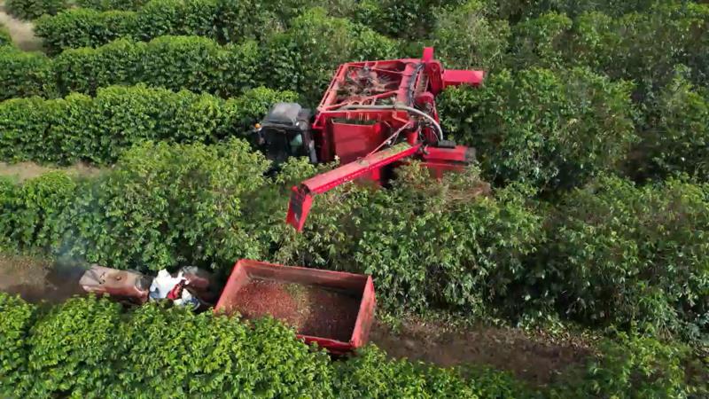 Cooxupé promove o 5º Fórum Café e Clima no dia 27 de julho   