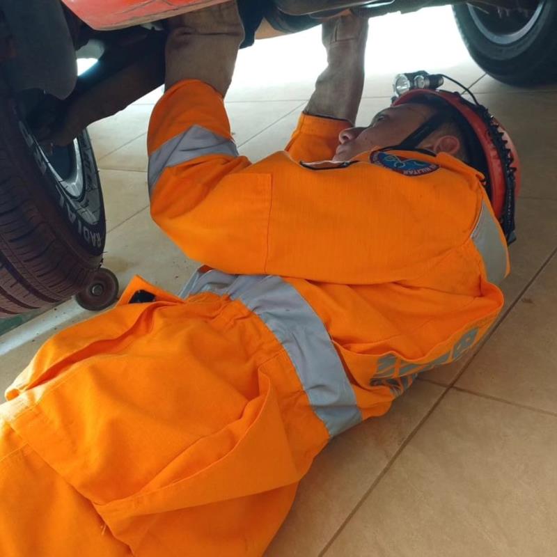 Em Guaxupé, Bombeiros resgatam canina presa em motor de veículo 