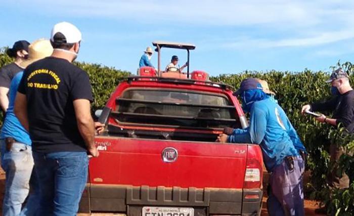 Produtor de café do Sul de Minas terá que seguir medidas de prevenção da Covid-19