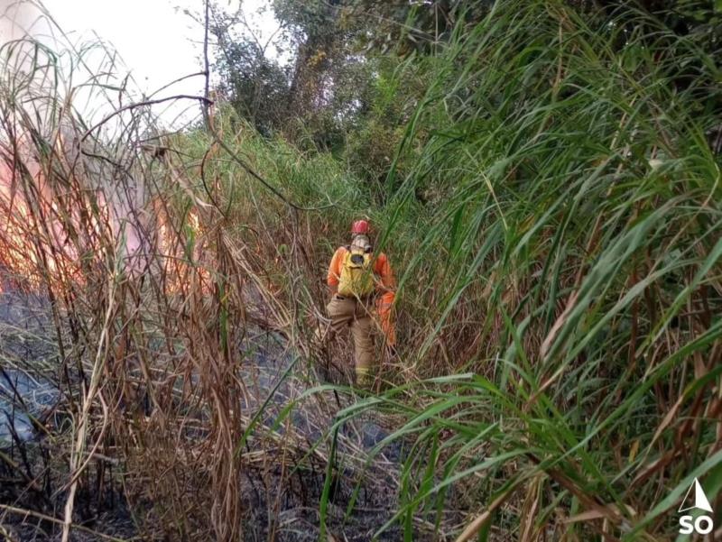 Incêndio na zona rural de Guaranésia foi combatido por bombeiros e Defesa Civil do município