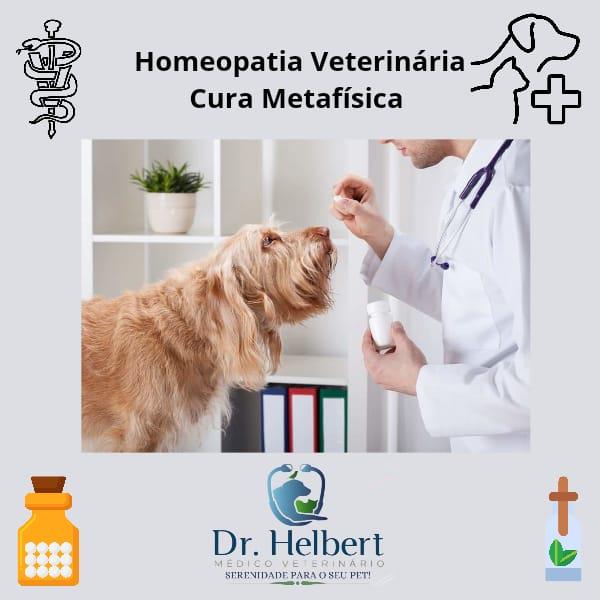 Homeopatia Veterinária