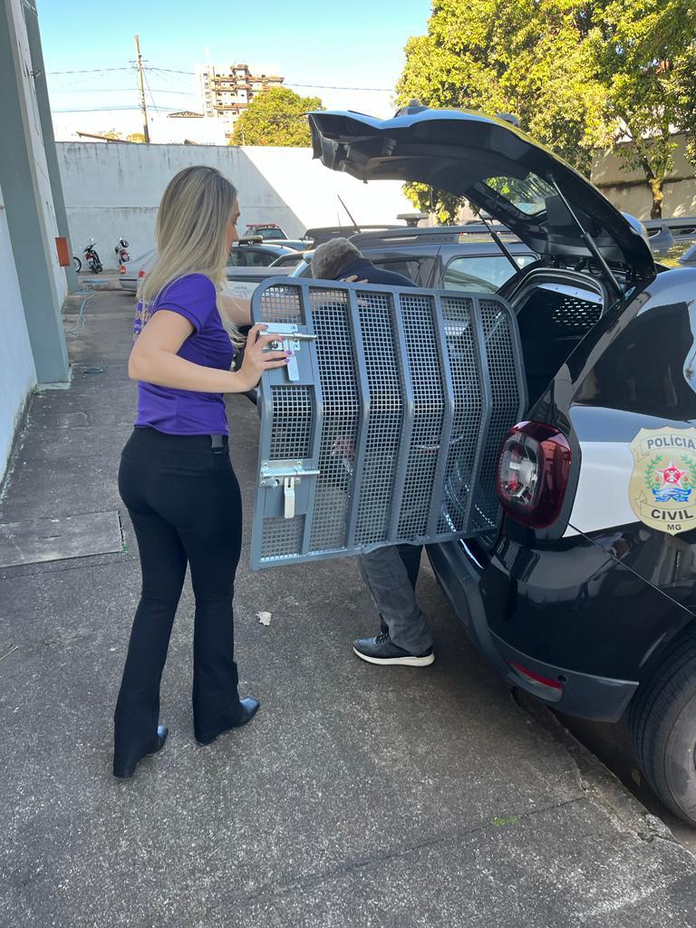 Pedófilo foi preso após atacar crianças no Sul de Minas, sendo uma afilhada e a outra vizinha 