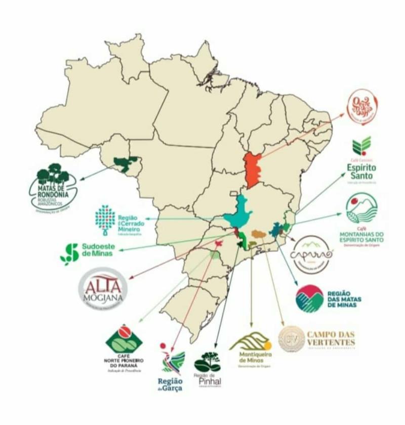 Encontro das Origens Brasileiras de Café impulsiona setor e fortalece regiões cafeicultoras