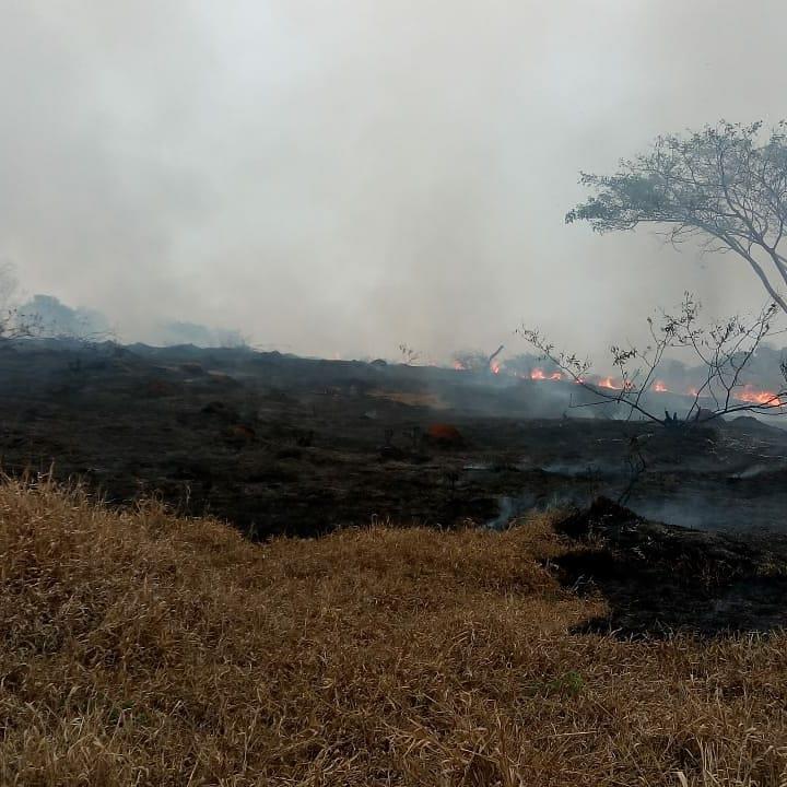 Em Guaxupé, incêndio supostamente criminoso destruiu grande parte de vegetação