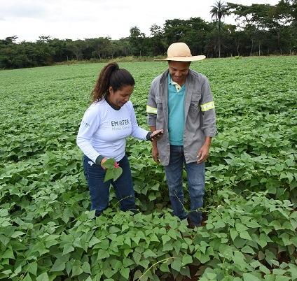 Emater-MG é a melhor empresa do agronegócio em Minas Gerais, segundo revista Exame