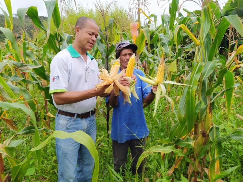 Emater-MG é a melhor empresa do agronegócio em Minas Gerais, segundo revista Exame